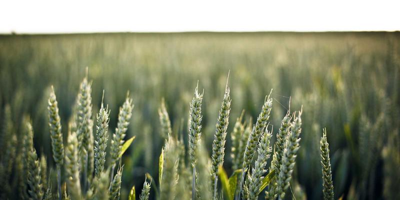 ACCPDG20认证：开启职业资格认证与技能培训的新篇章