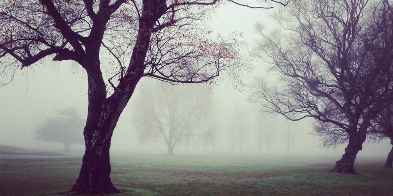 ACCPDG29认证：开启职业技能培训与专业认证服务的新篇章