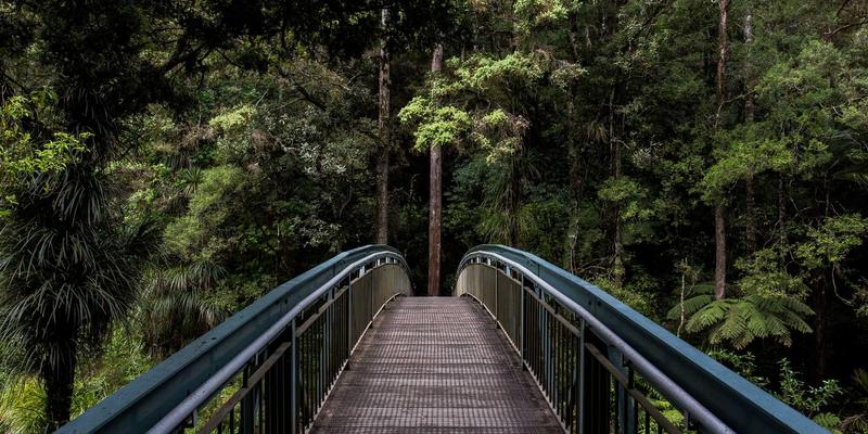 ACCPDG34：职业资格认证与企业培训的黄金标准