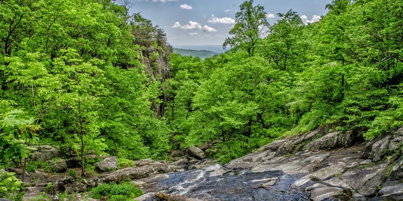 ACCPDG78：解锁职业发展新高度的关键认证