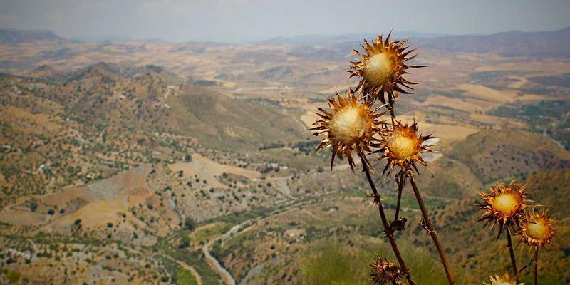 ACCPDG对比解析：职业发展、技能培训与企业培训的协同路径