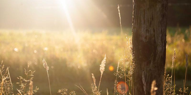 ACCPDG：开启职业发展新篇章，权威认证如何重塑你的职业生涯