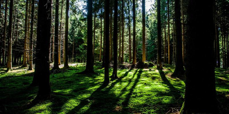 ACCPDG持证专家深度解读：如何运用认证知识赋能企业数据资产化估值与运营