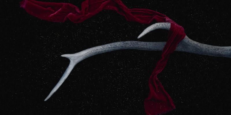 ACCPDG认证与DAMA CDMP深度对比：如何选择最适合你的数据治理认证路径