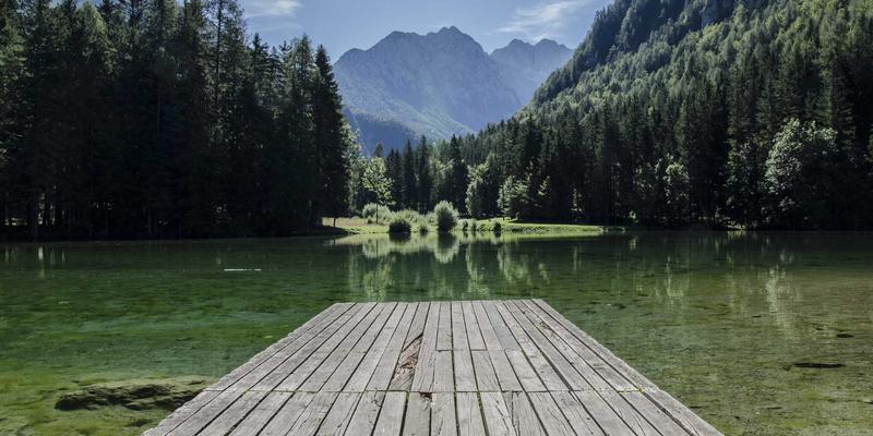 ACCPDG认证持有者：揭秘高薪职业发展路径与就业前景
