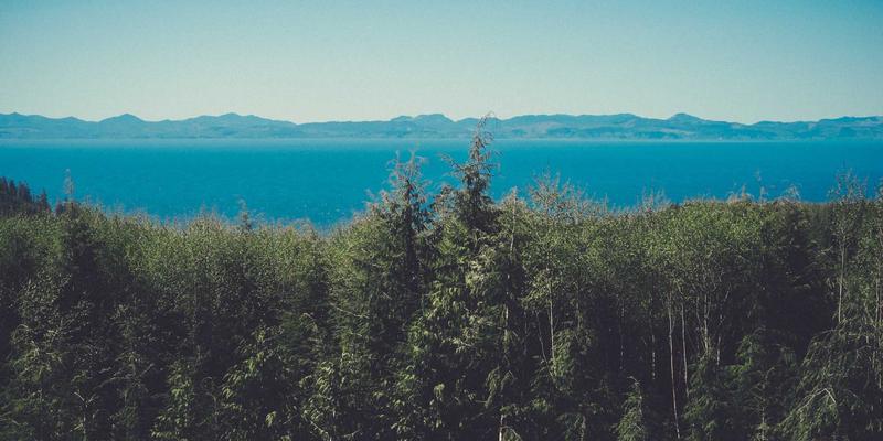 ACCPDG认证：数据安全治理与隐私保护融合的职业发展新路径