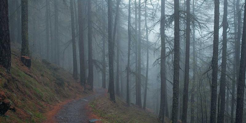 ACCPDG认证视角下的数据中台建设：如何以治理框架驱动业务敏捷与创新