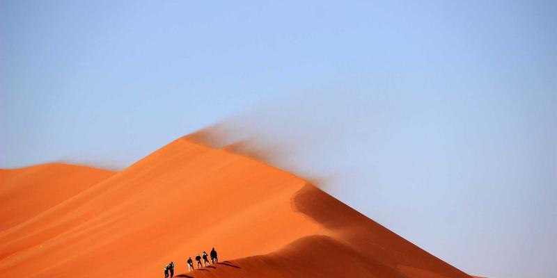 ACCPDG认证：解锁金融、医疗、政务行业职业发展的黄金密钥