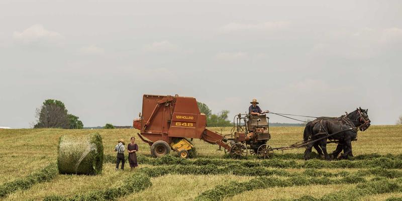 企业数据合规官必备：ACCPDG认证与国内数据安全法的交叉解读与实战指南